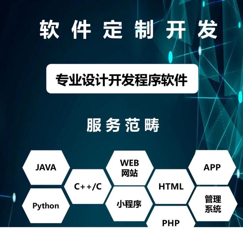 软件定制开发:打造企业独特的数字转型工具箱